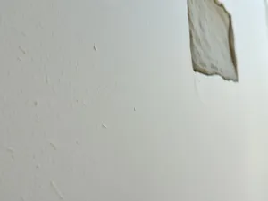 Czy można położyć tynk silikonowy na tynk silikonowy? Sprawdź!